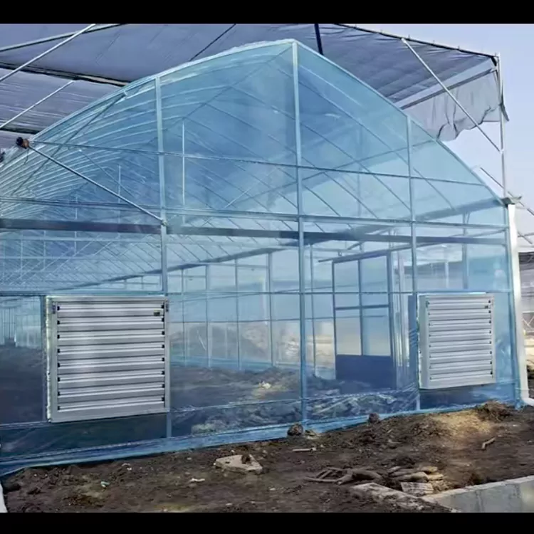 Galvanized Steel Greenhouse Frame