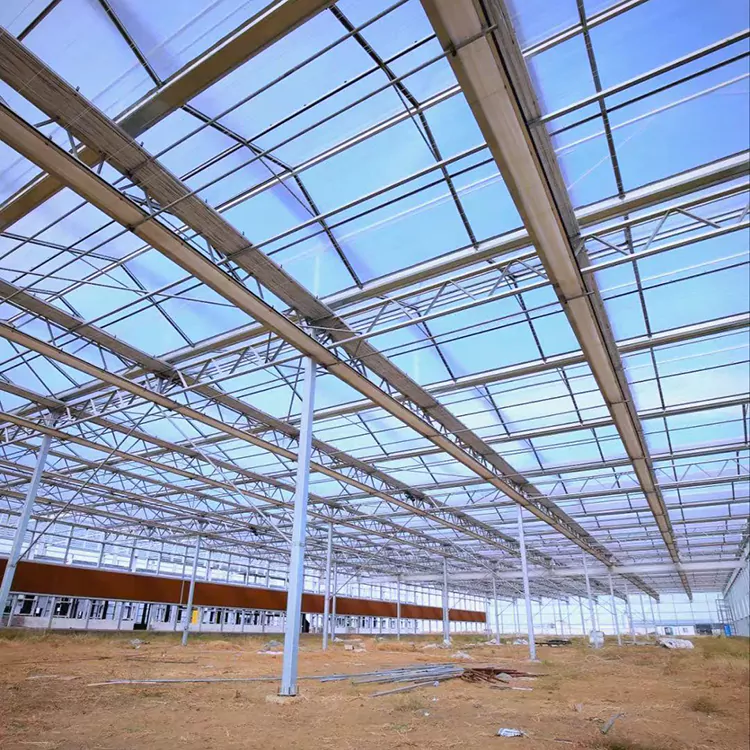 Galvanized Steel Greenhouse Frame
