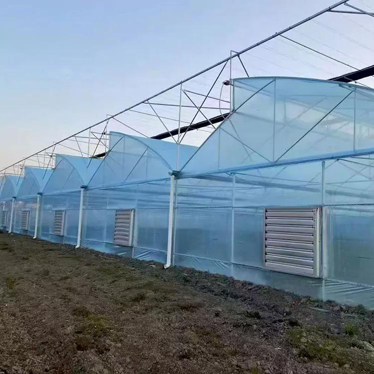 Galvanized Steel Greenhouse Frame